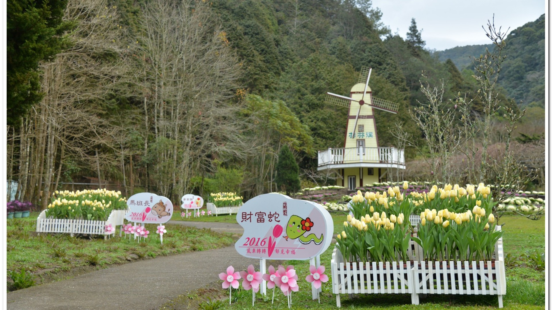 2016杉林溪鬱金香花季