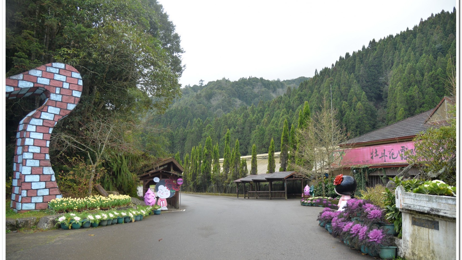 2016杉林溪鬱金香花季