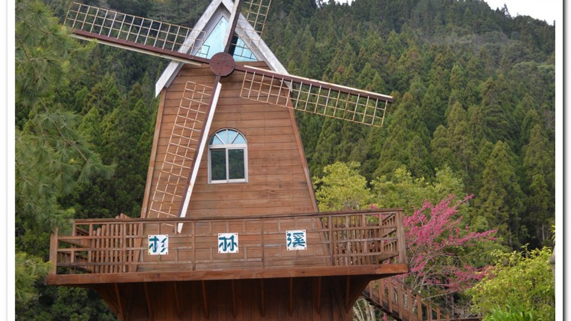 2016杉林溪鬱金香花季