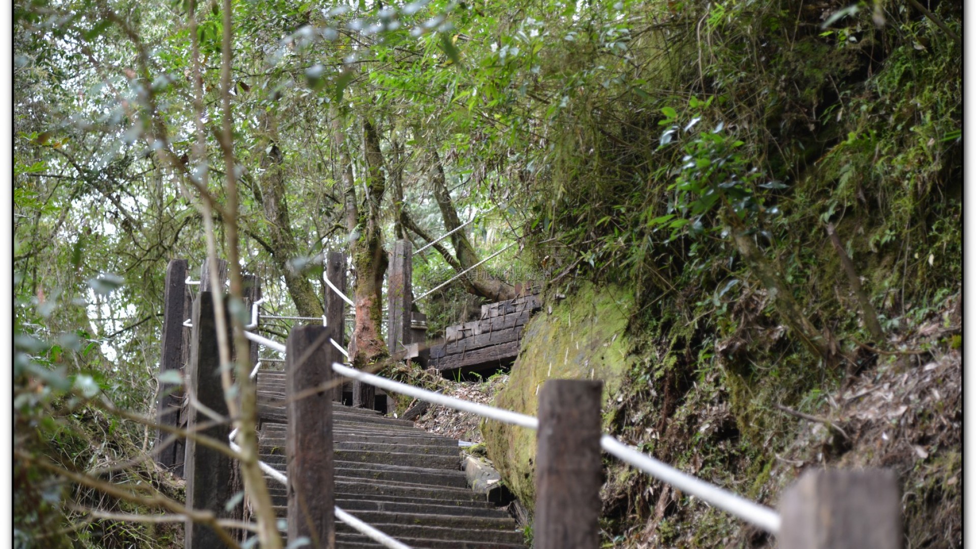 先民隧道-杉林溪旅遊景點