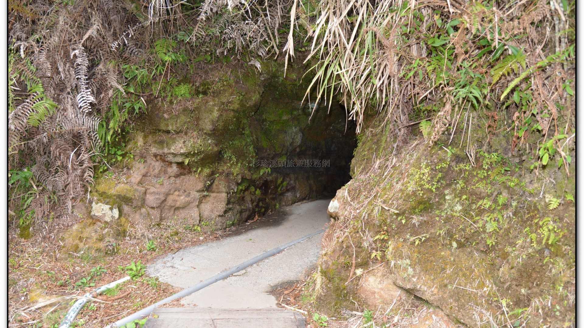 先民隧道-杉林溪旅遊景點