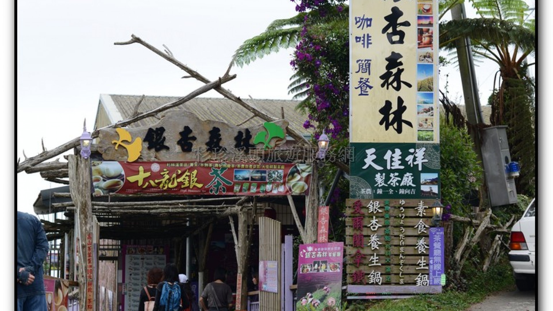 銀杏森林-杉林溪旅遊景點