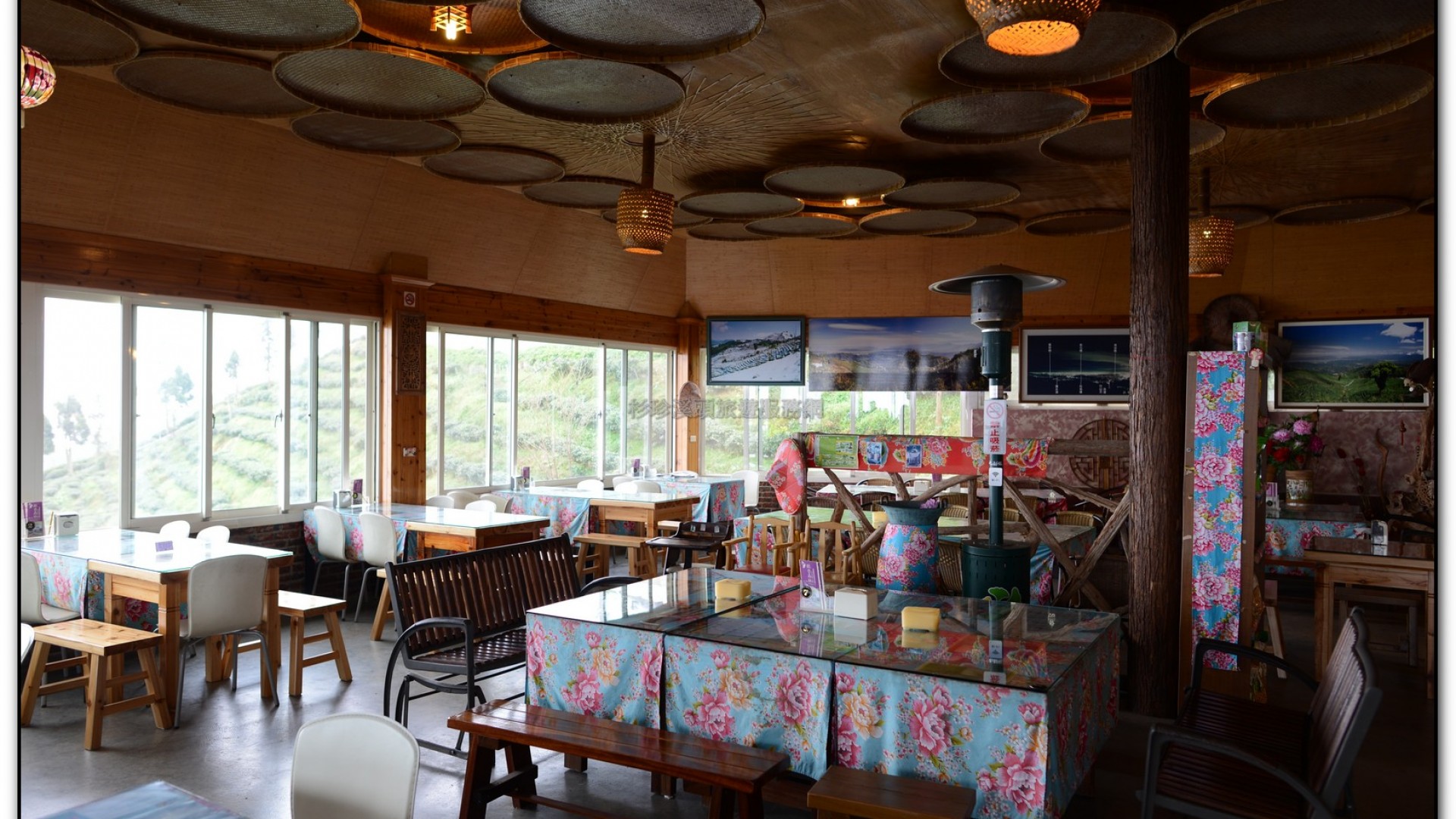 銀杏森林-杉林溪旅遊景點