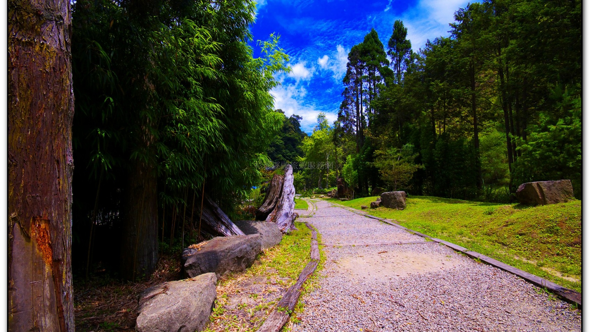九九吊橋-杉林溪旅遊景點