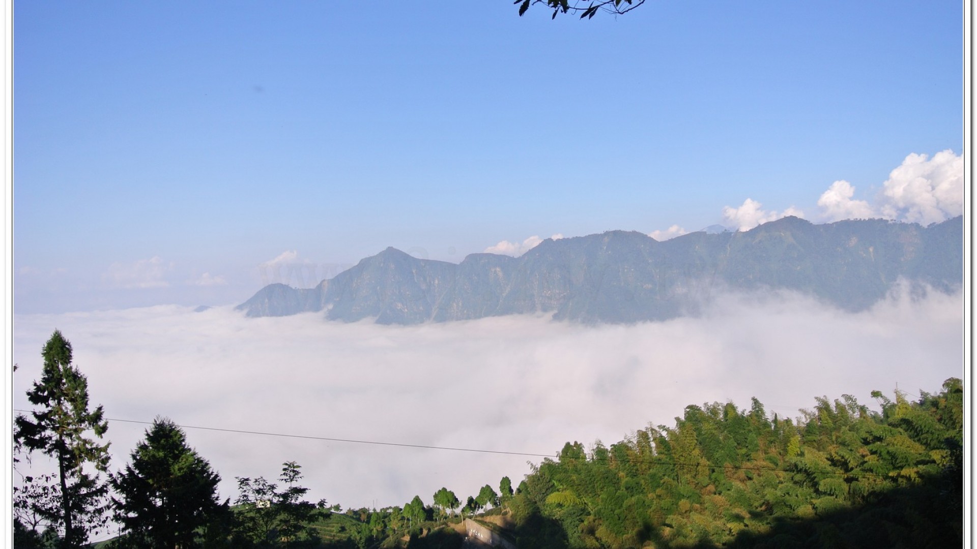 2014武岫農場夕陽、雲海