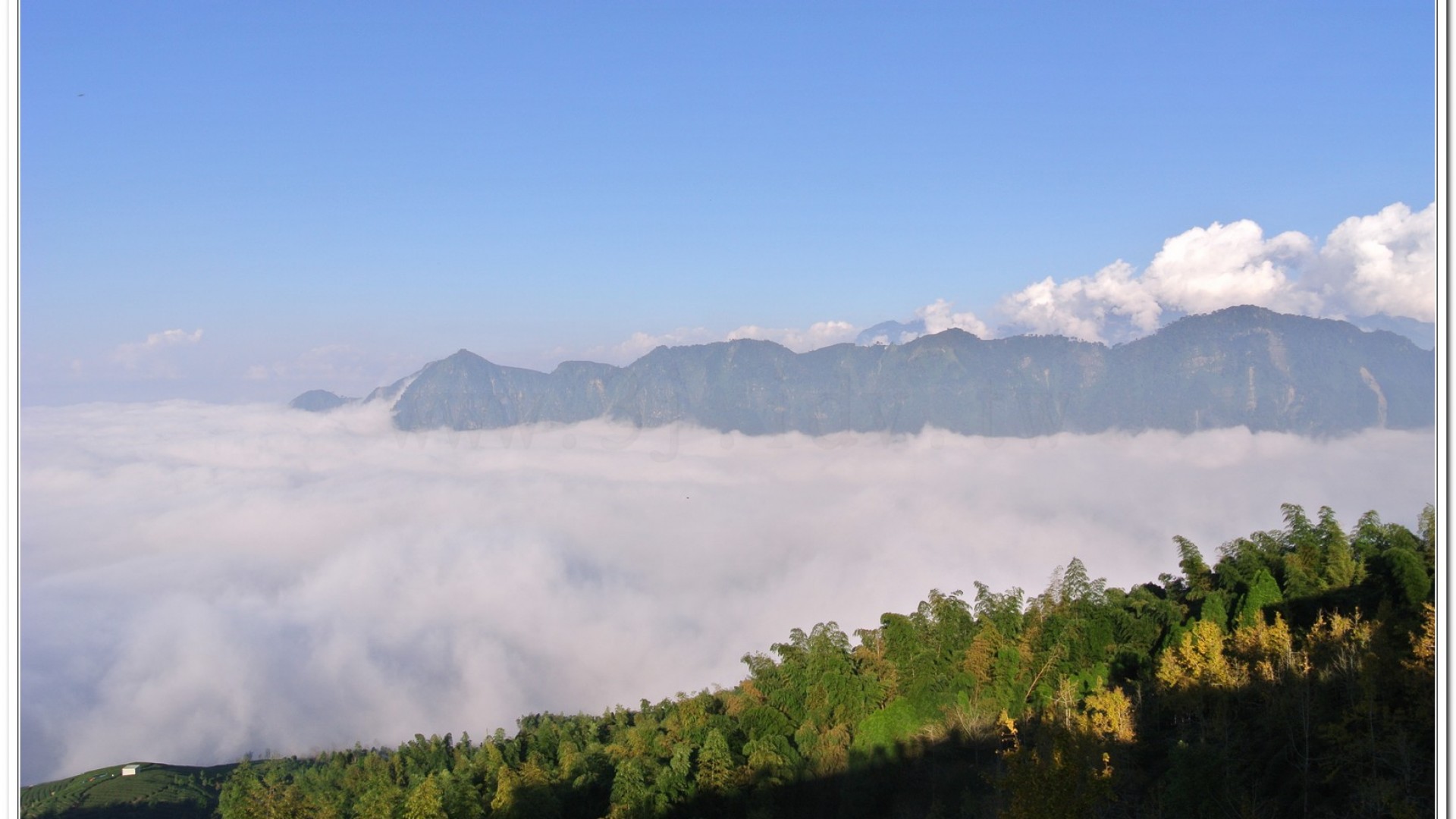 2014武岫農場夕陽、雲海