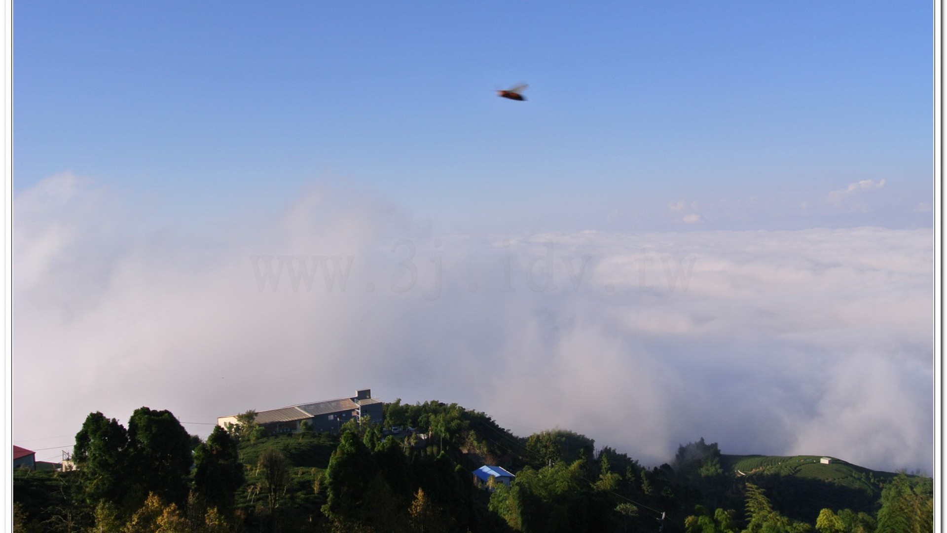 2014武岫農場夕陽、雲海