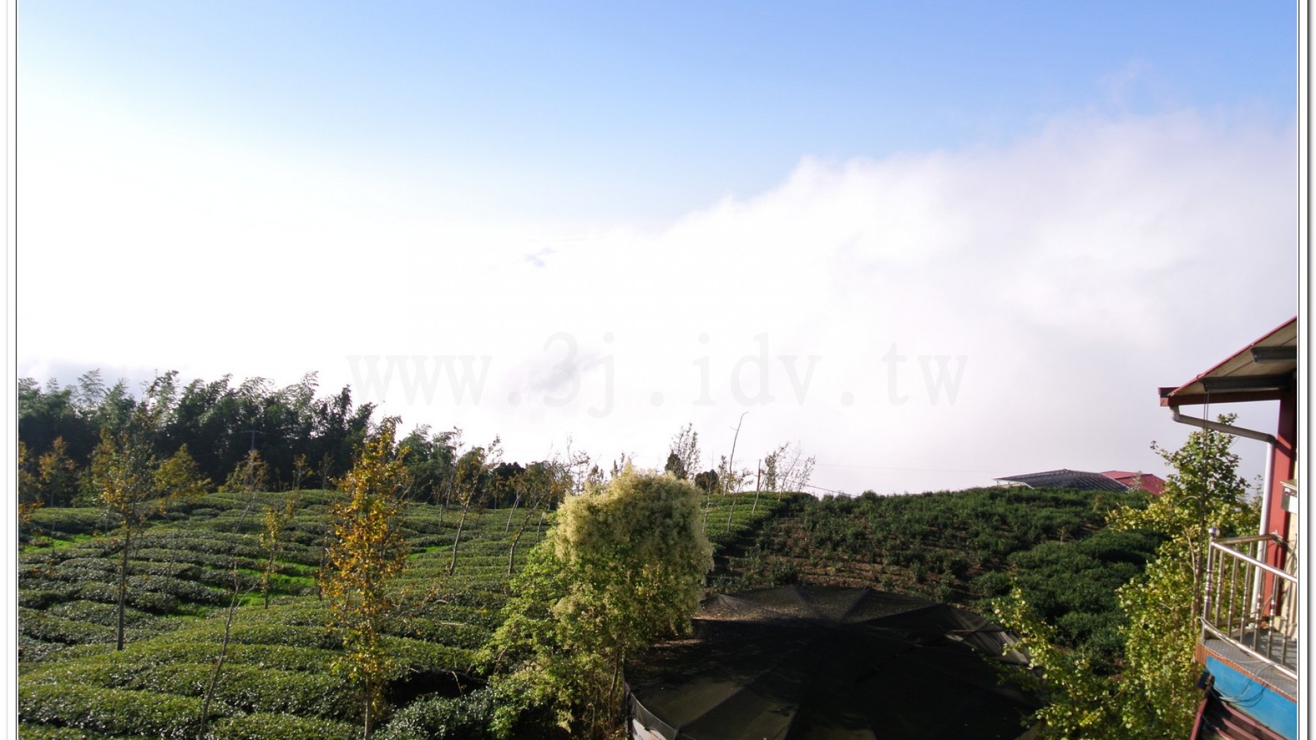 2014武岫農場夕陽、雲海