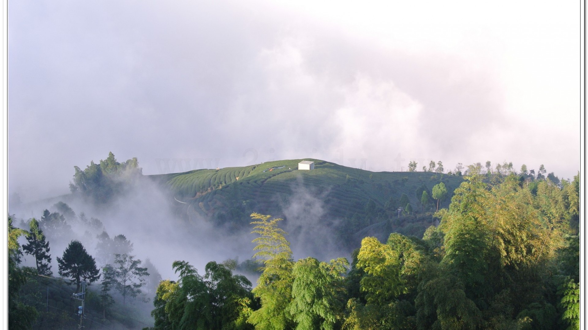 2014武岫農場夕陽、雲海
