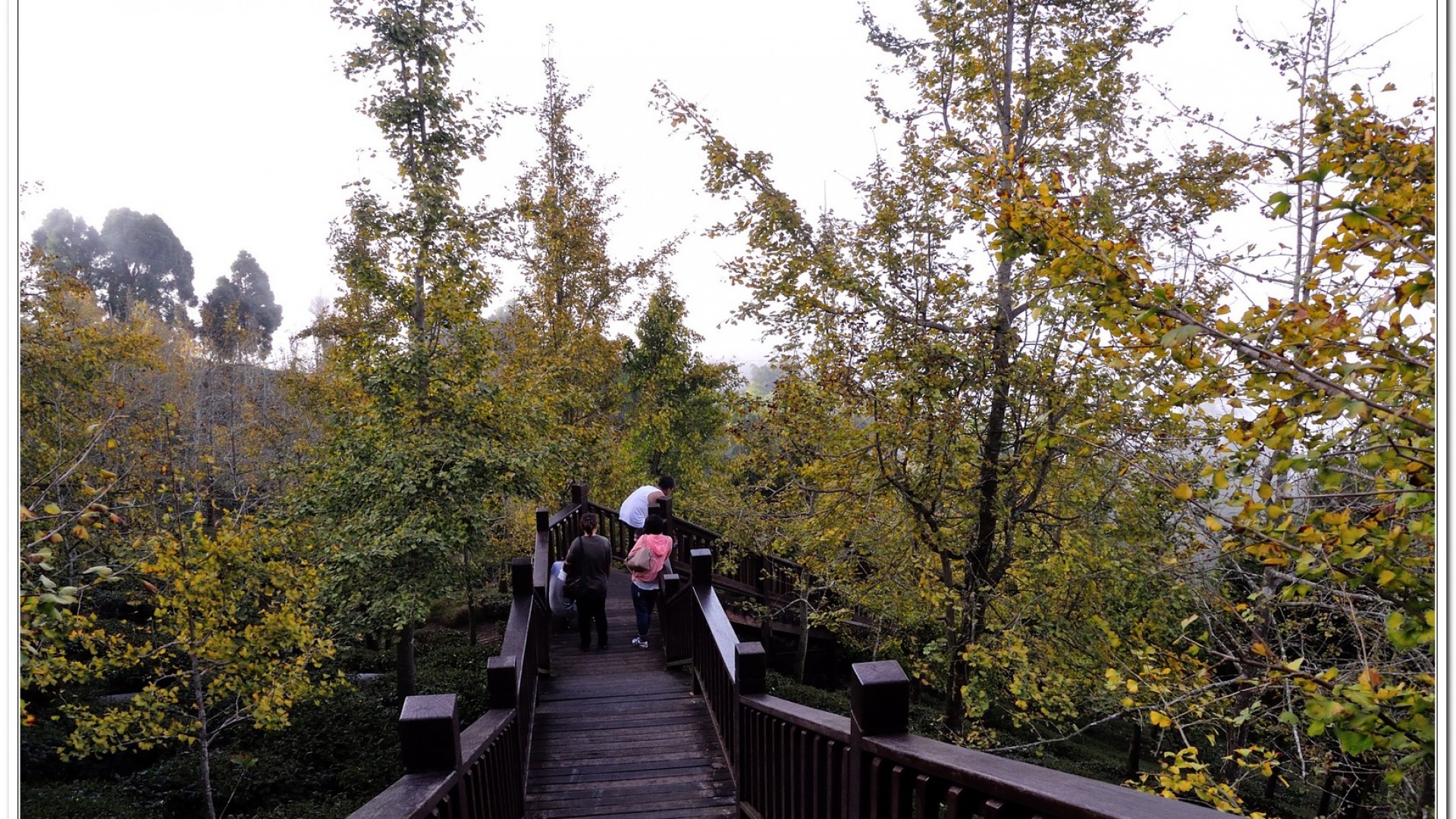 2014武岫農場夕陽、雲海