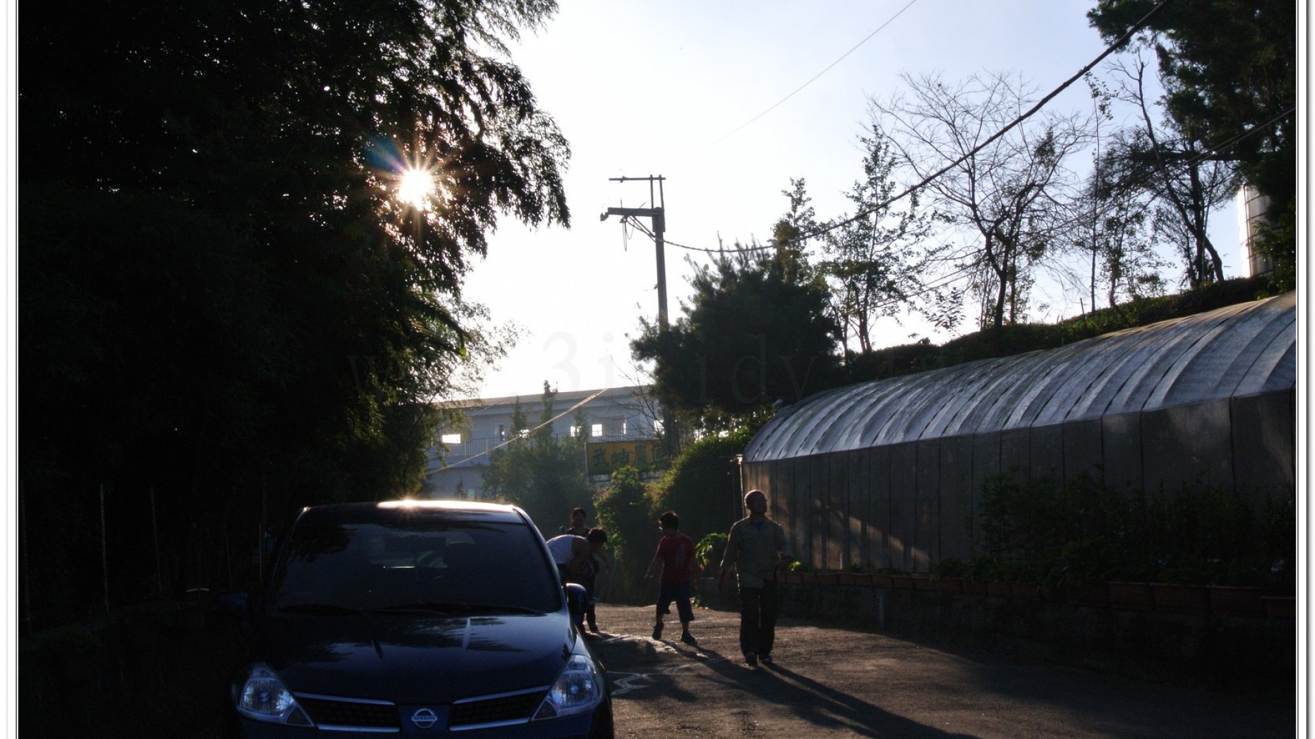 2014武岫農場夕陽、雲海