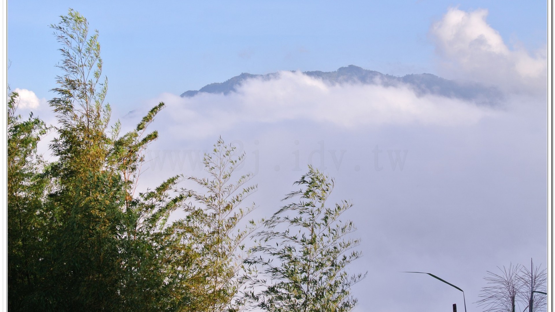 2014武岫農場夕陽、雲海