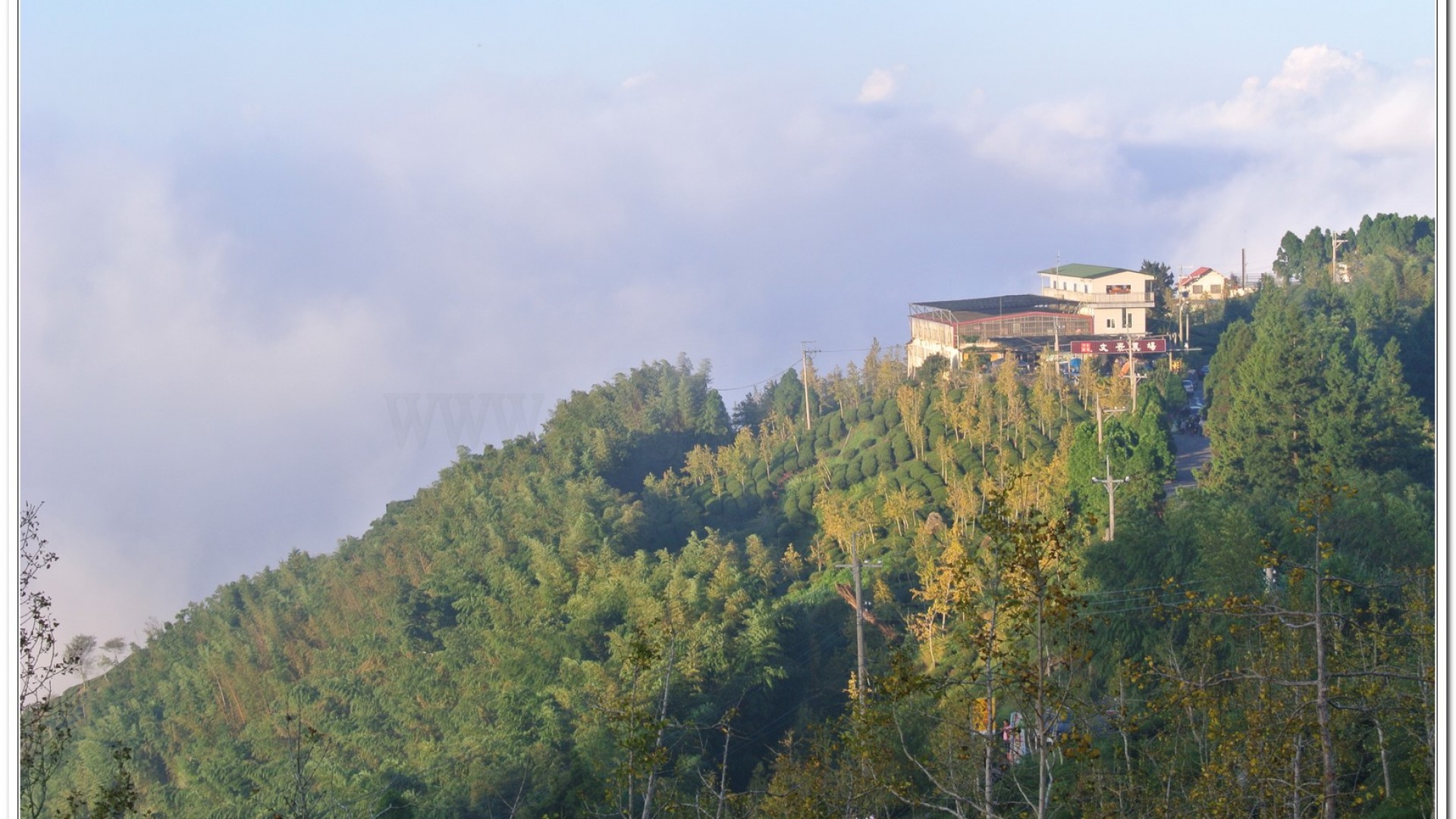 2014武岫農場夕陽、雲海