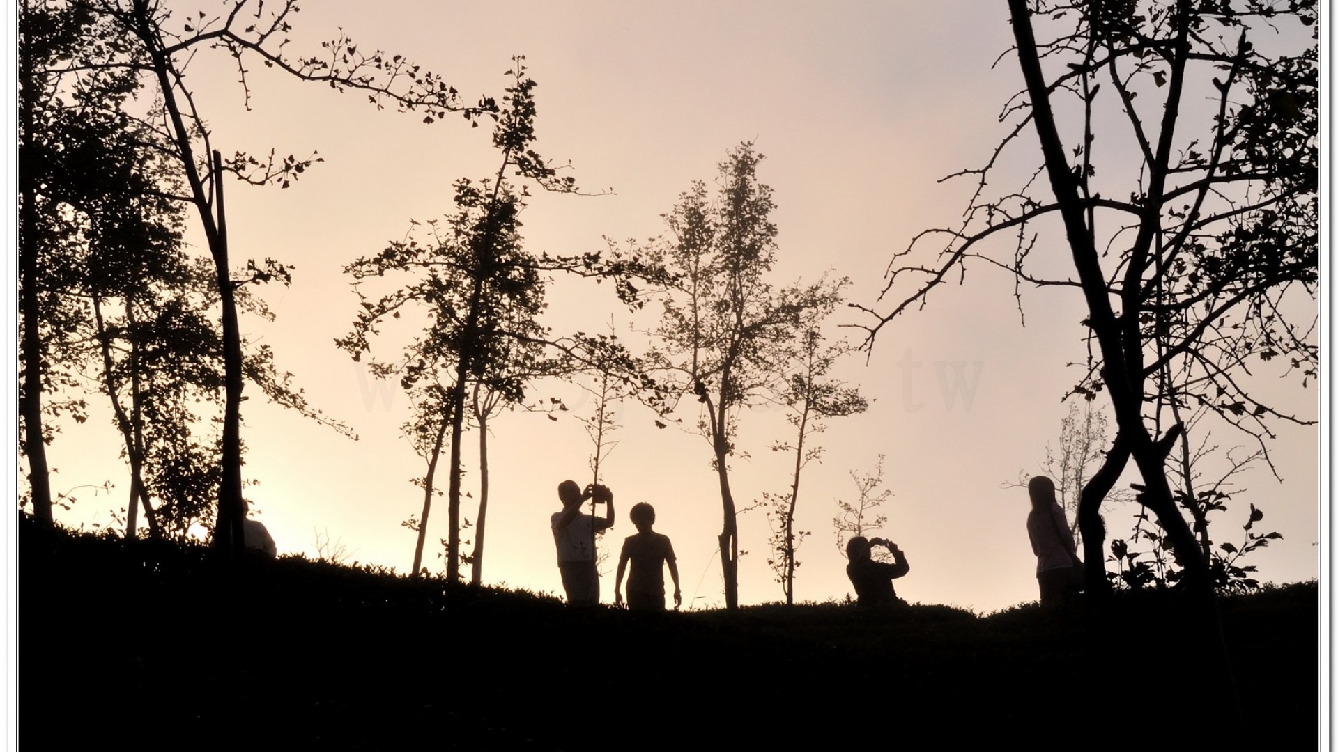 2014武岫農場夕陽、雲海