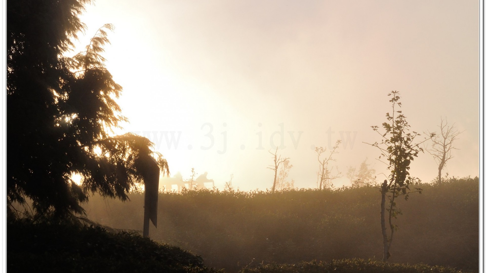 2014武岫農場夕陽、雲海