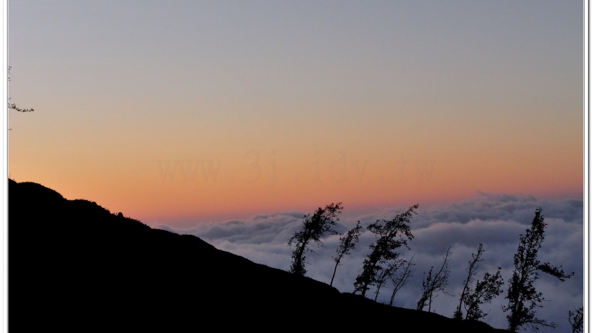 2014武岫農場夕陽、雲海