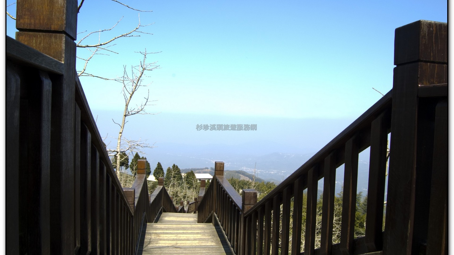 武岫農場-杉林溪旅遊景點