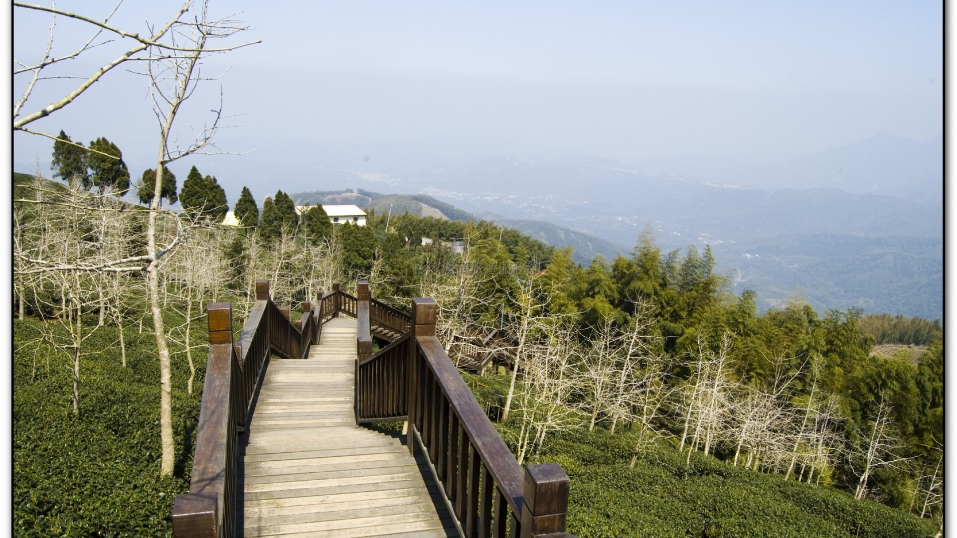 武岫農場-杉林溪旅遊景點