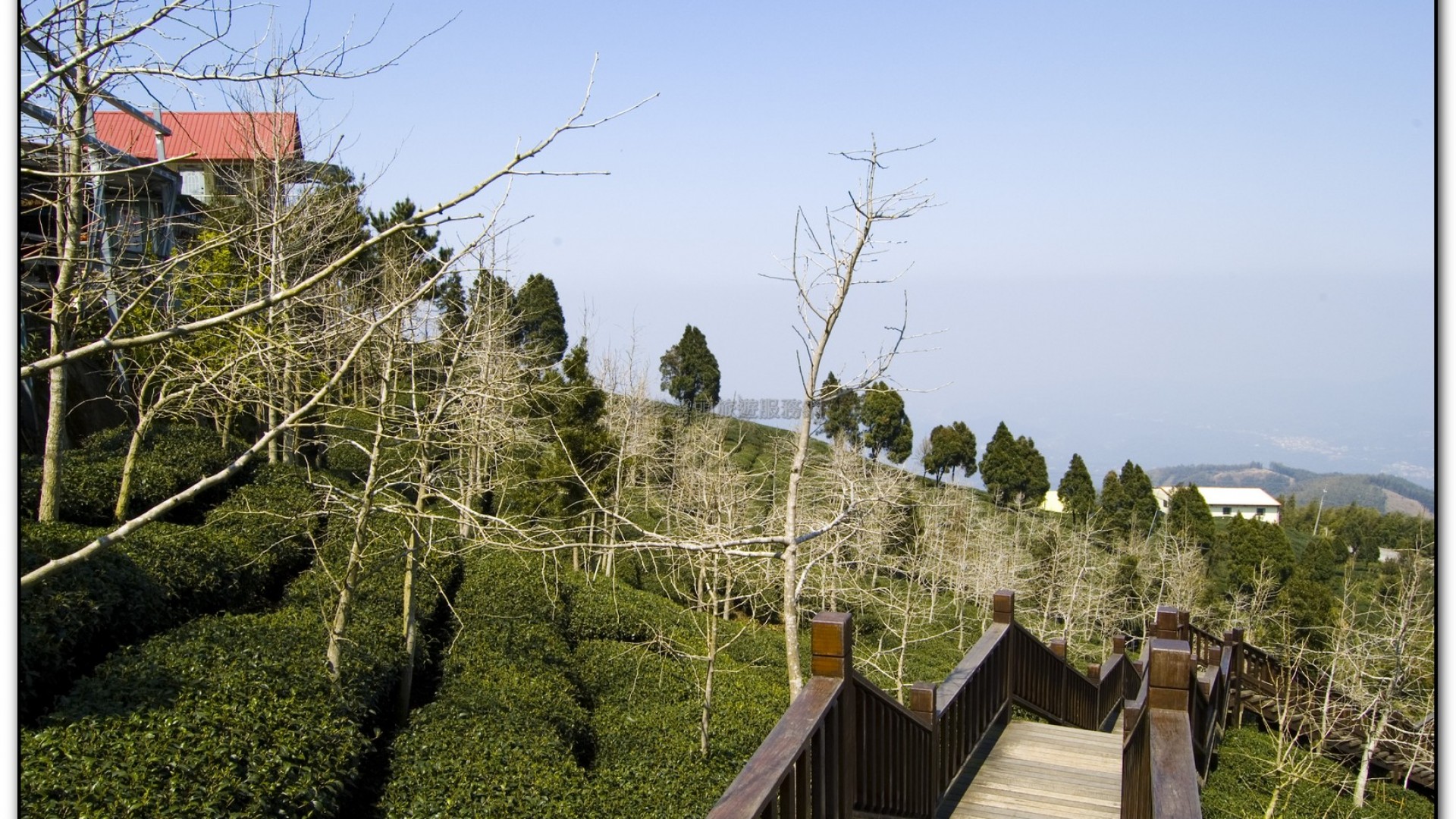 武岫農場-杉林溪旅遊景點