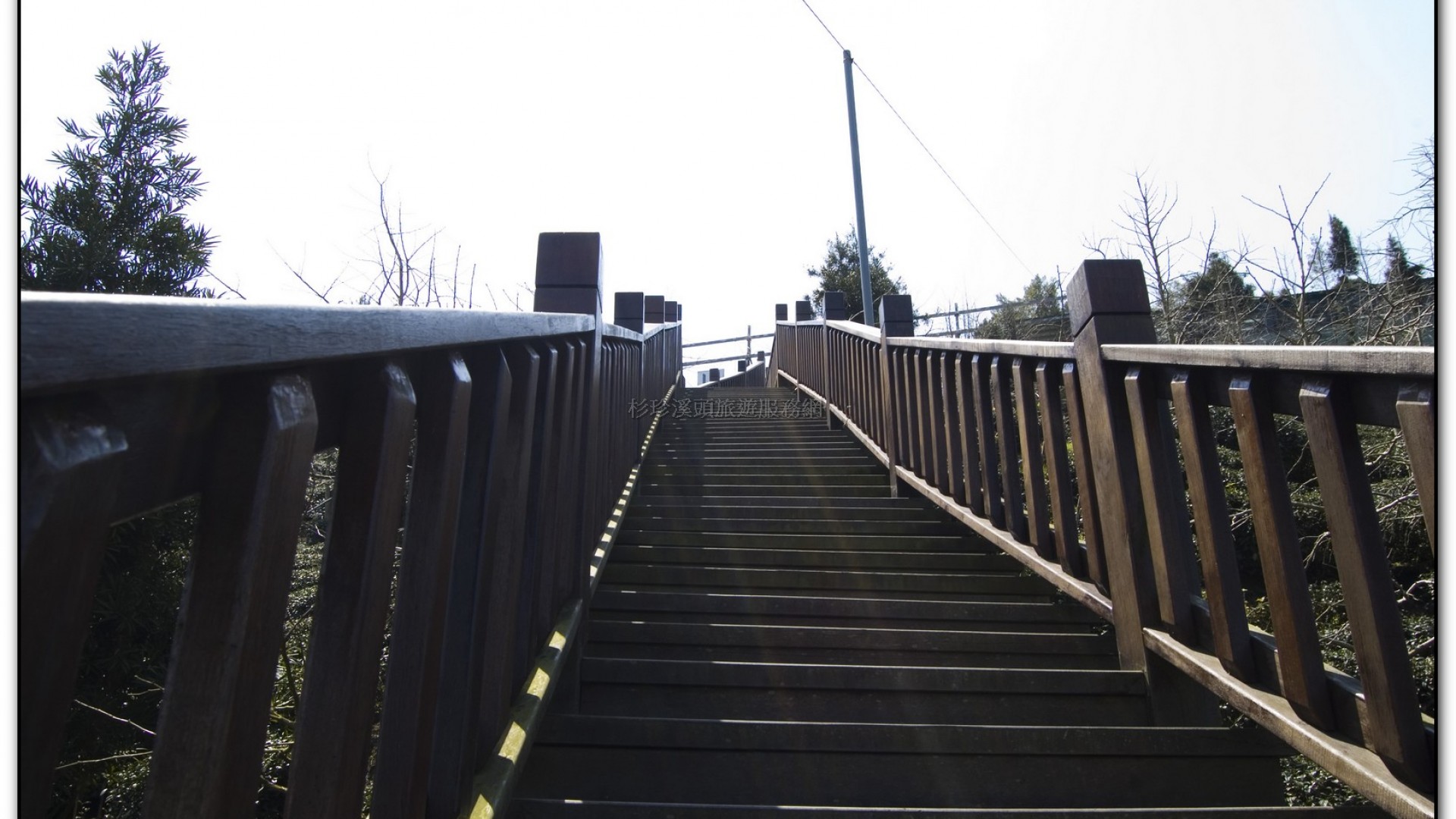 武岫農場-杉林溪旅遊景點