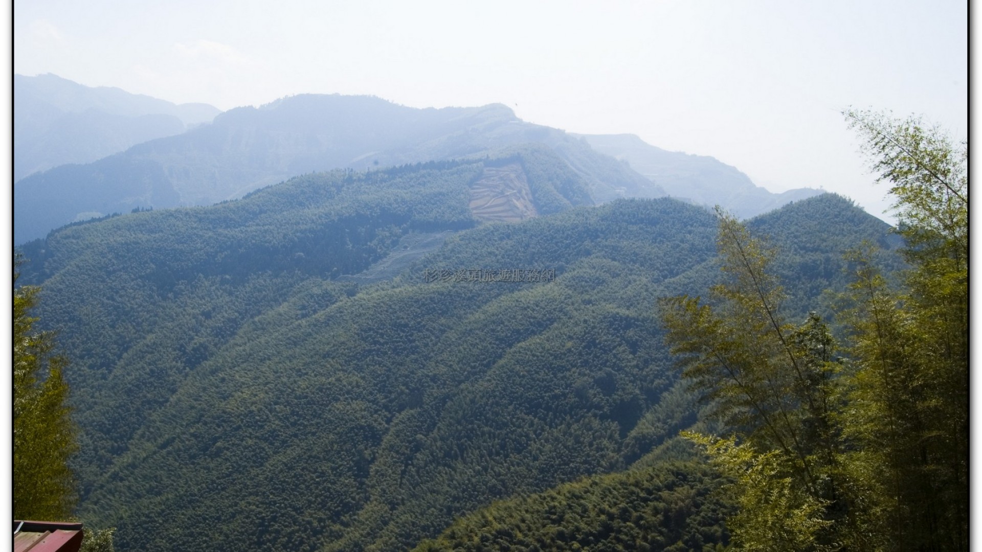 武岫農場-杉林溪旅遊景點