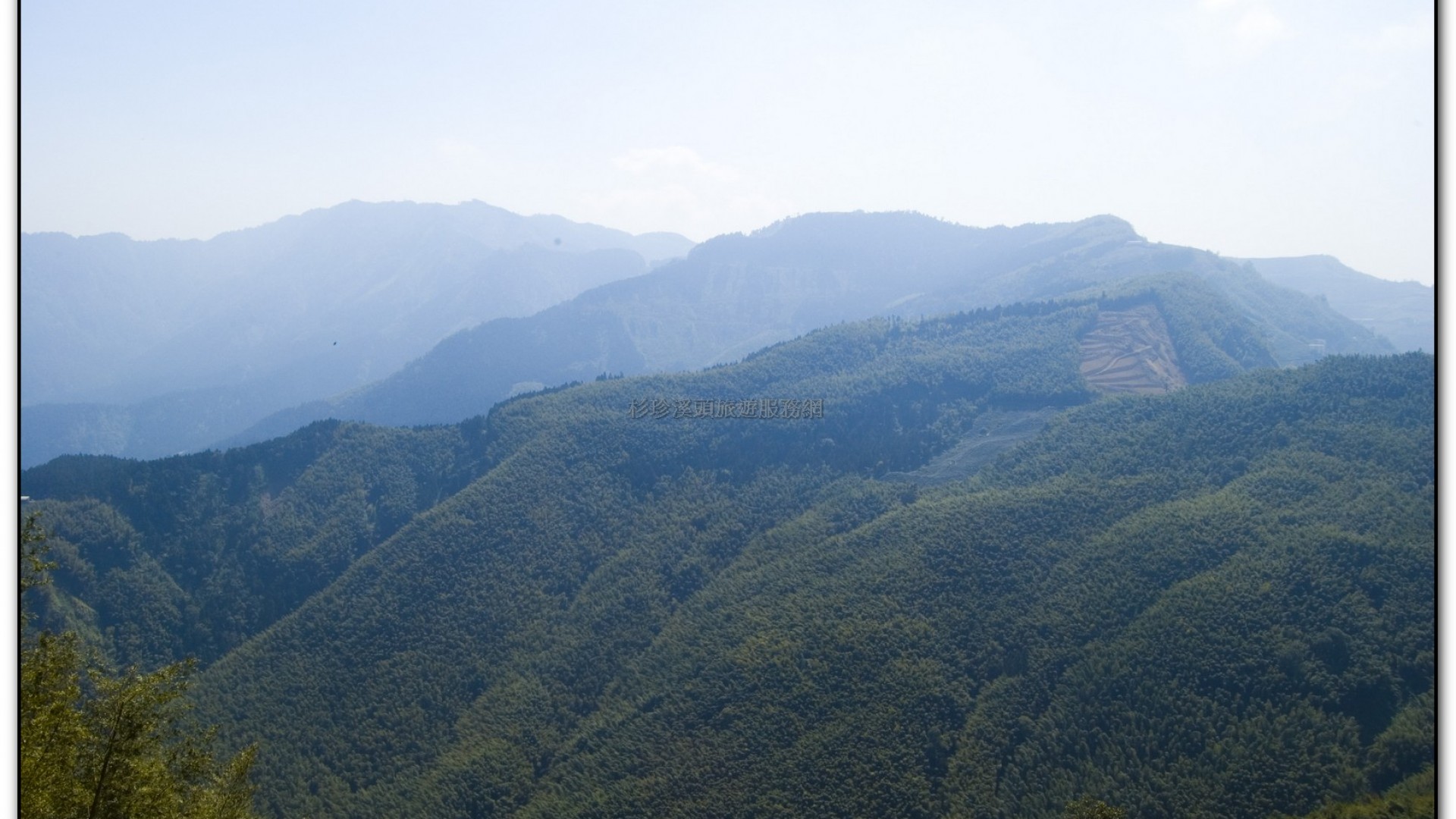 武岫農場-杉林溪旅遊景點