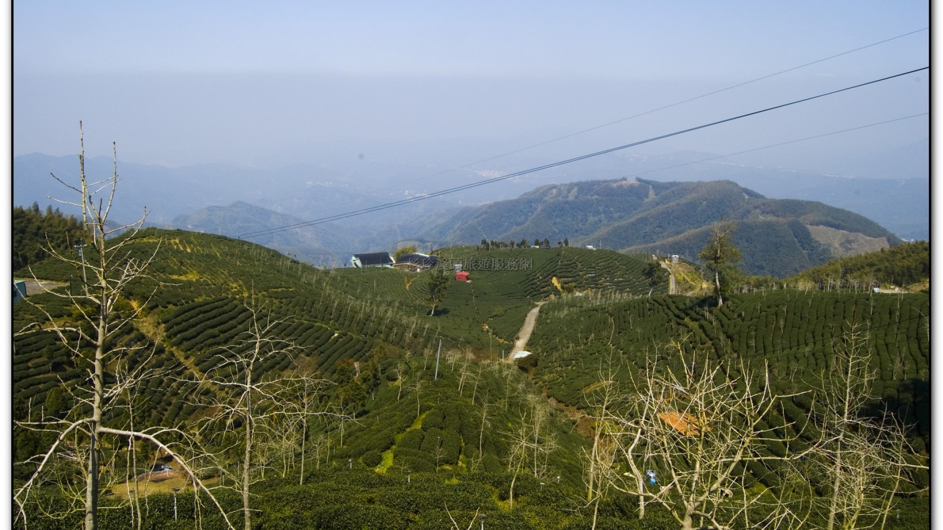 武岫農場-杉林溪旅遊景點
