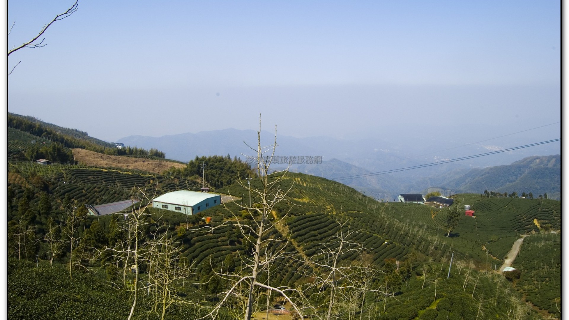 武岫農場-杉林溪旅遊景點