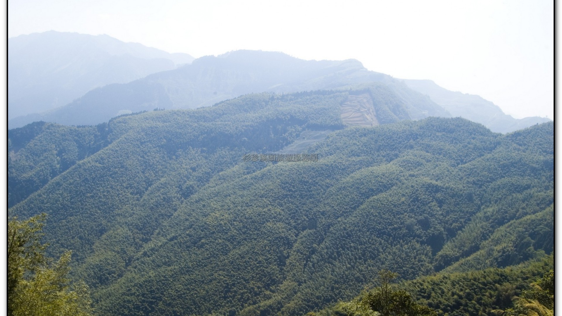 武岫農場-杉林溪旅遊景點
