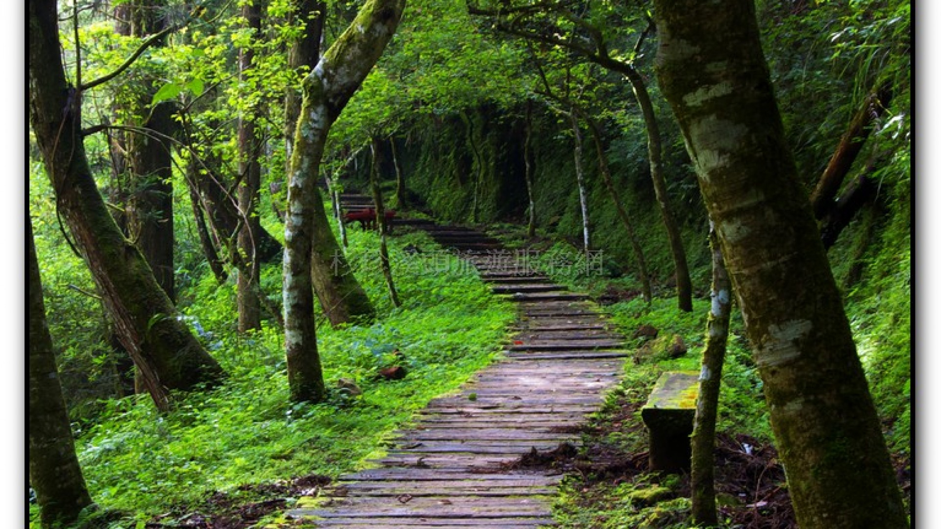 燕庵瀑布-杉林溪旅遊景點