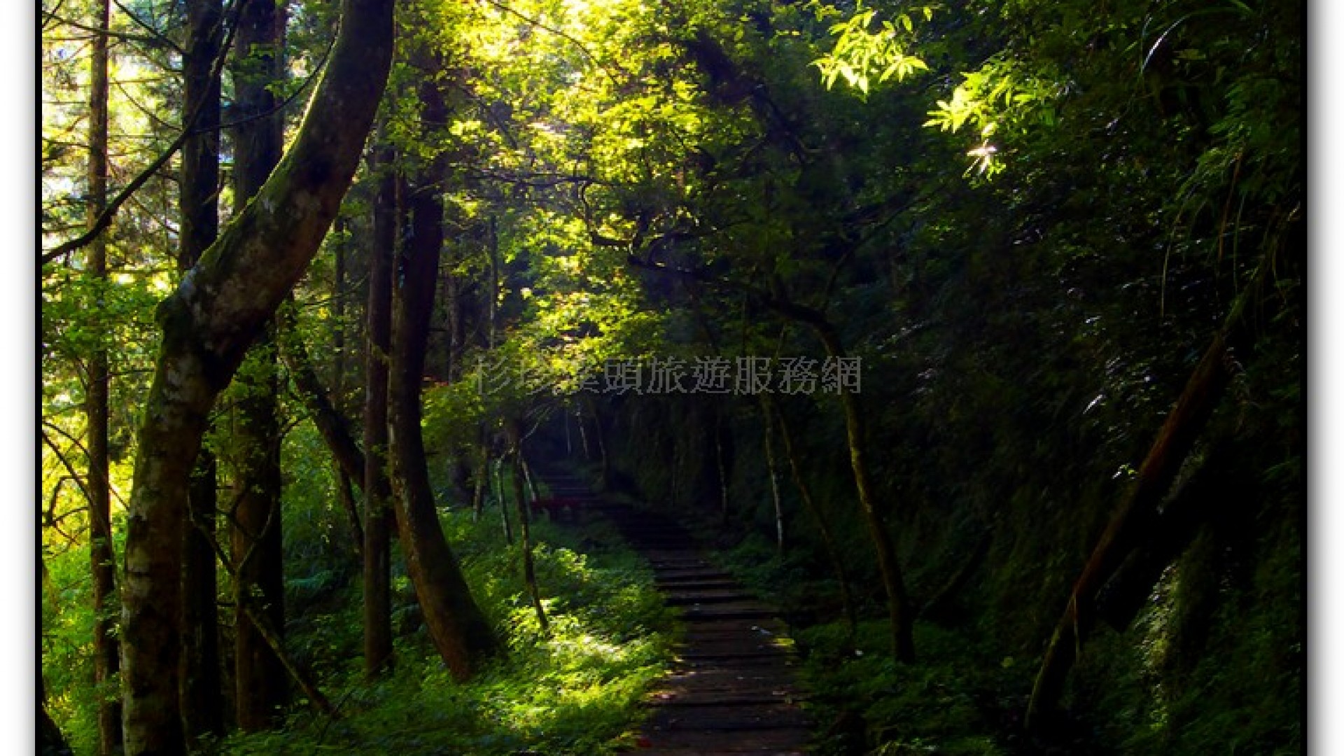 燕庵瀑布-杉林溪旅遊景點