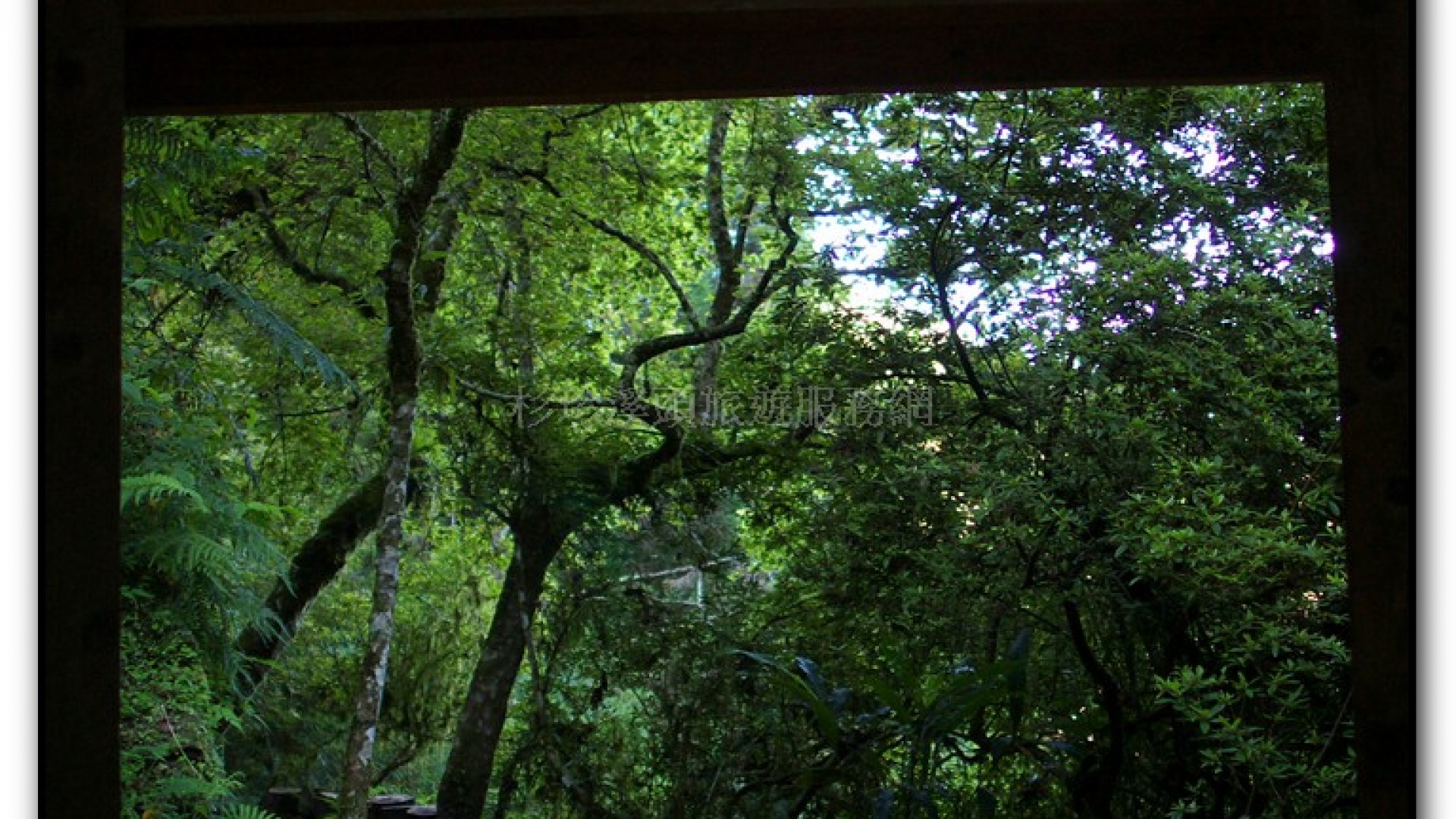 燕庵瀑布-杉林溪旅遊景點