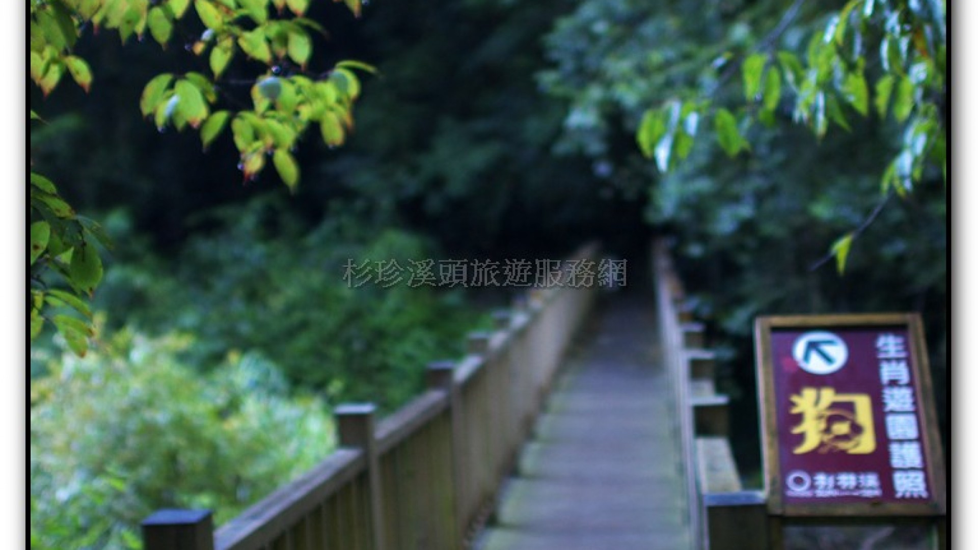 燕庵瀑布-杉林溪旅遊景點