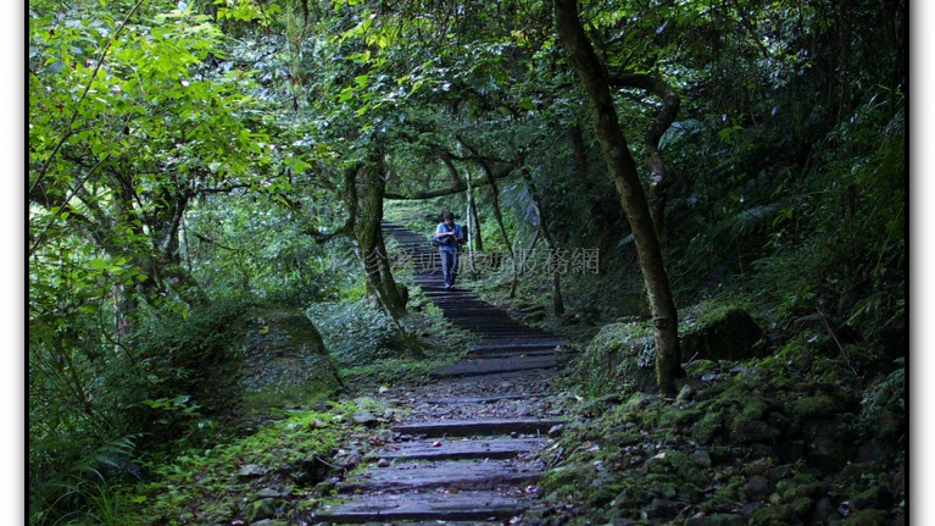 燕庵瀑布-杉林溪旅遊景點