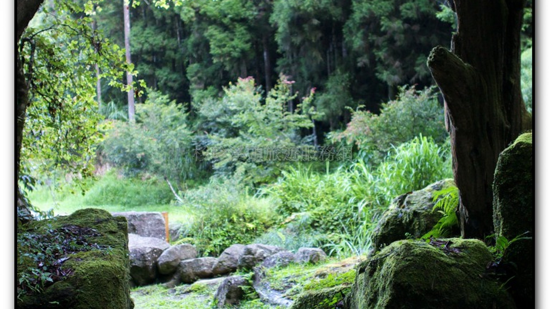 燕庵瀑布-杉林溪旅遊景點