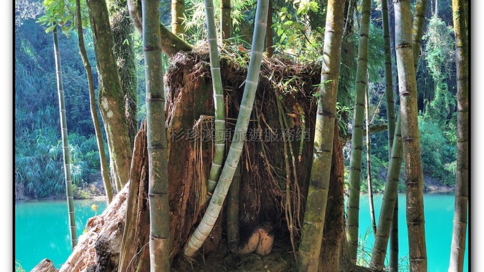 能屈能伸-杉林溪旅遊景點