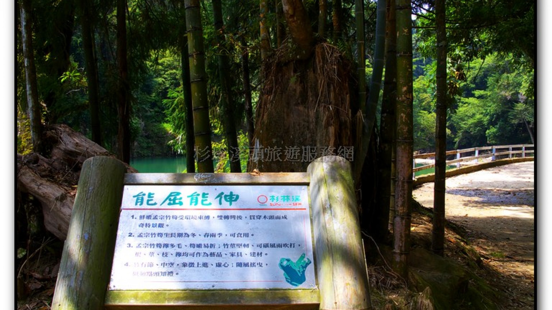 能屈能伸-杉林溪旅遊景點