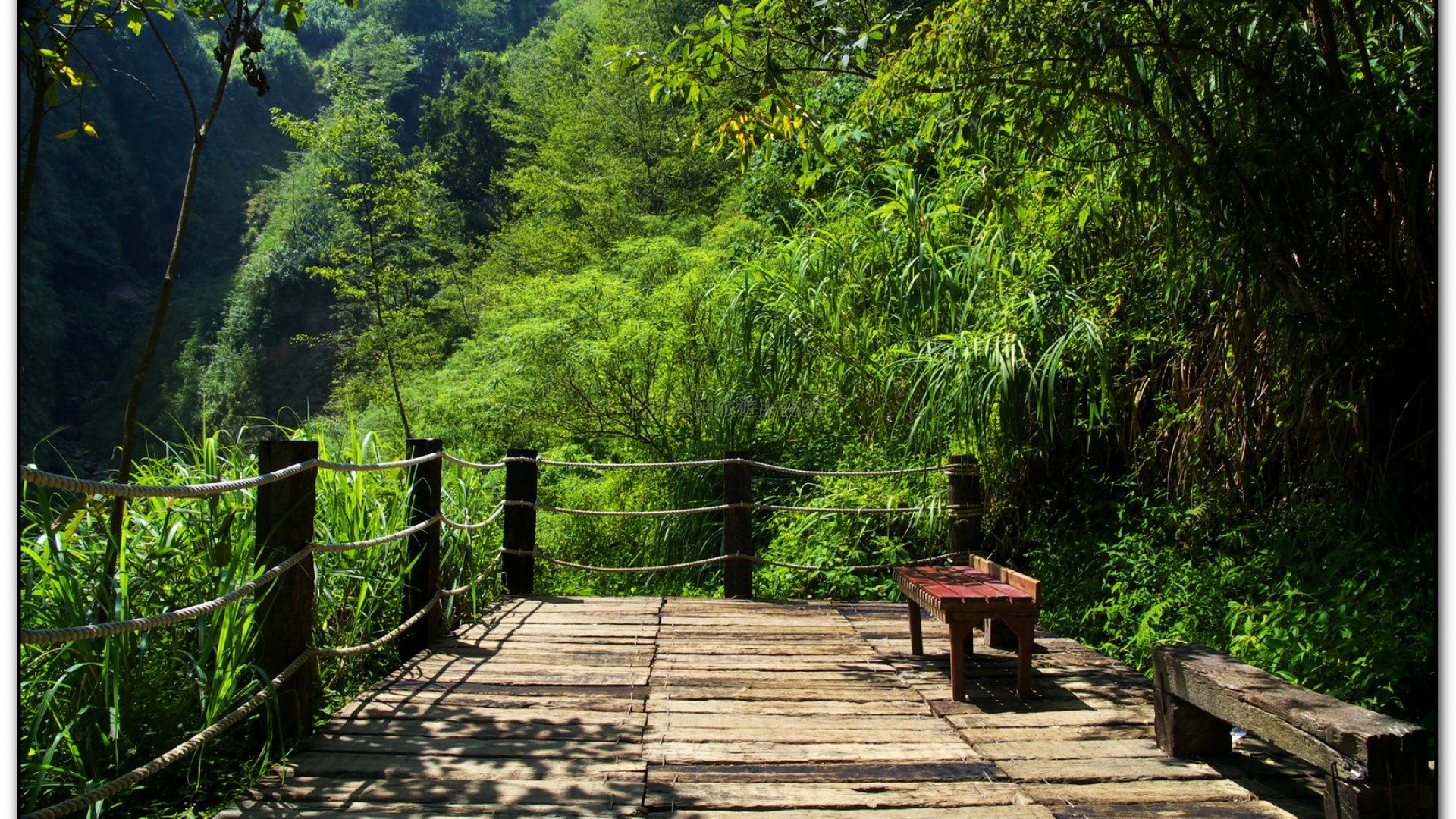 青龍瀑布-杉林溪旅遊景點