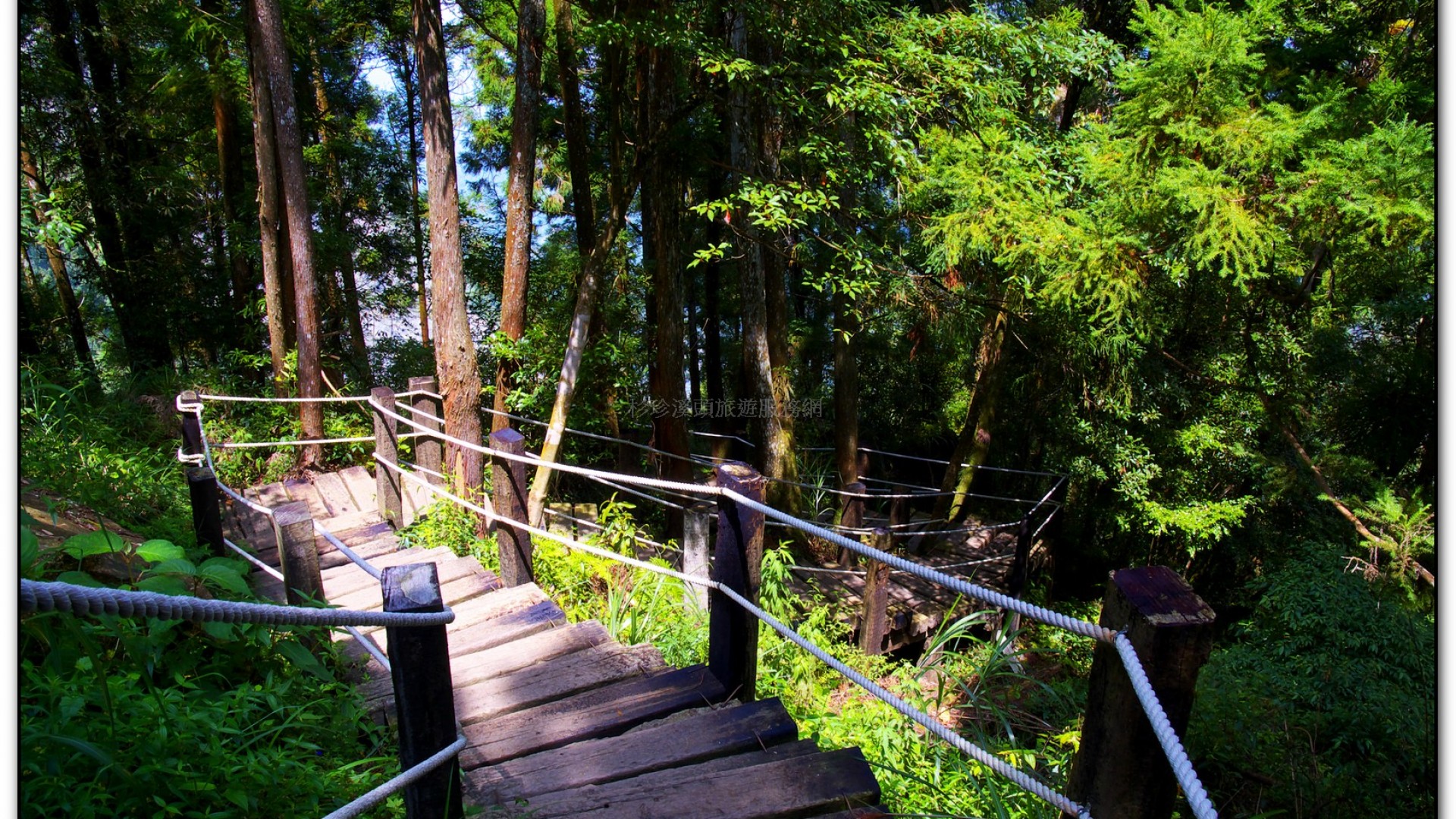 青龍瀑布-杉林溪旅遊景點