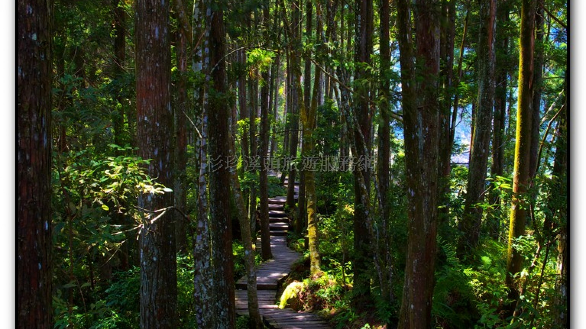 青龍瀑布-杉林溪旅遊景點