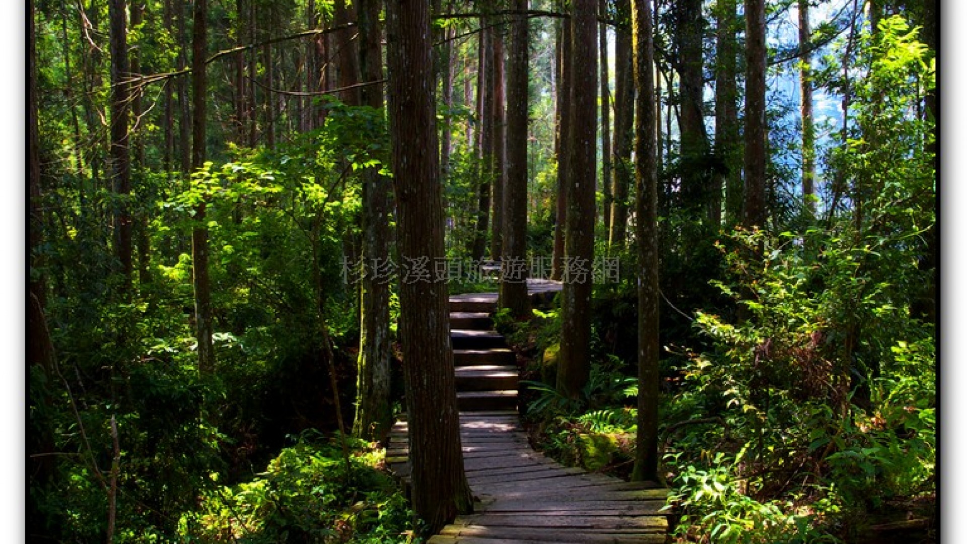 青龍瀑布-杉林溪旅遊景點