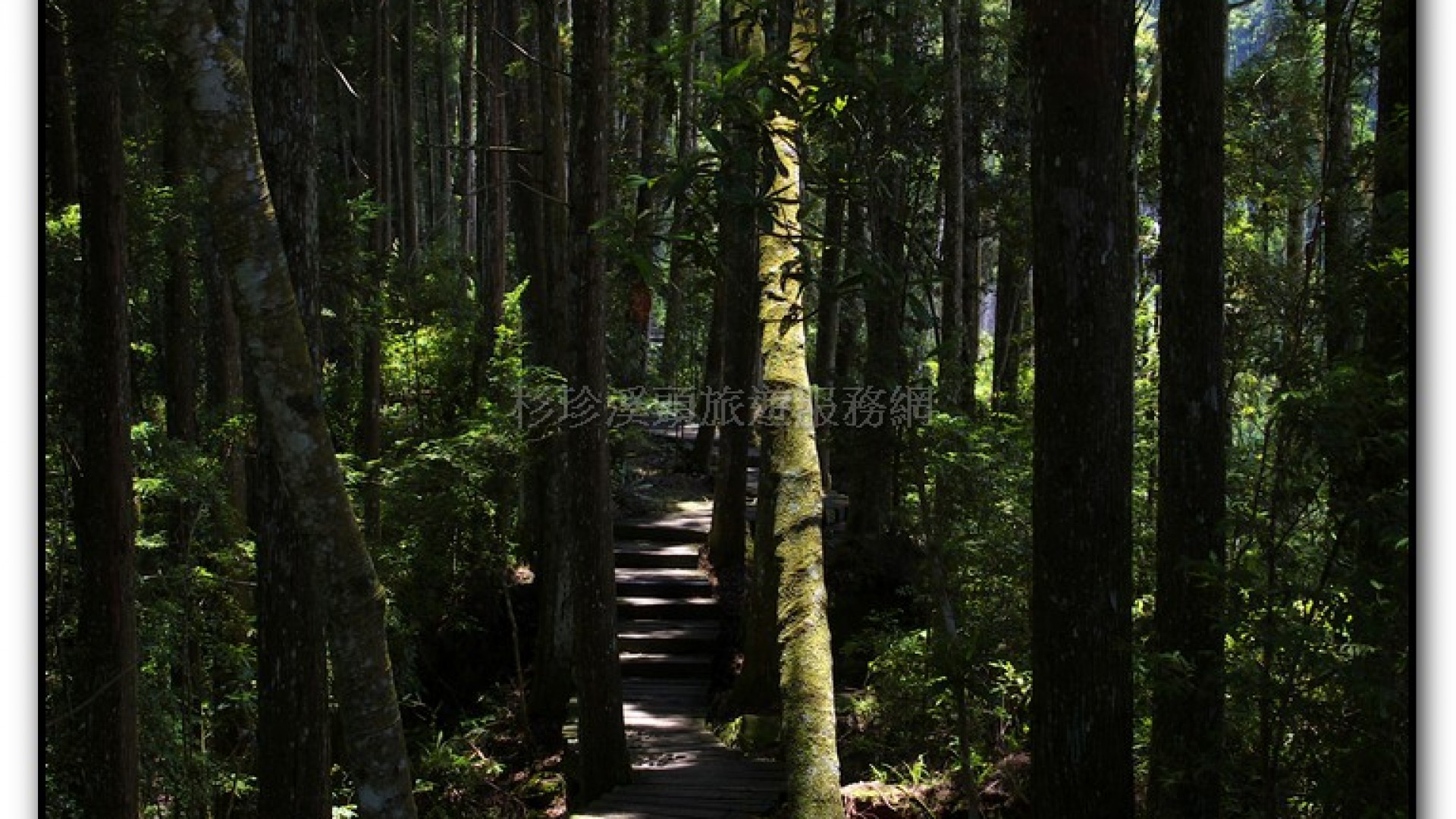 青龍瀑布-杉林溪旅遊景點