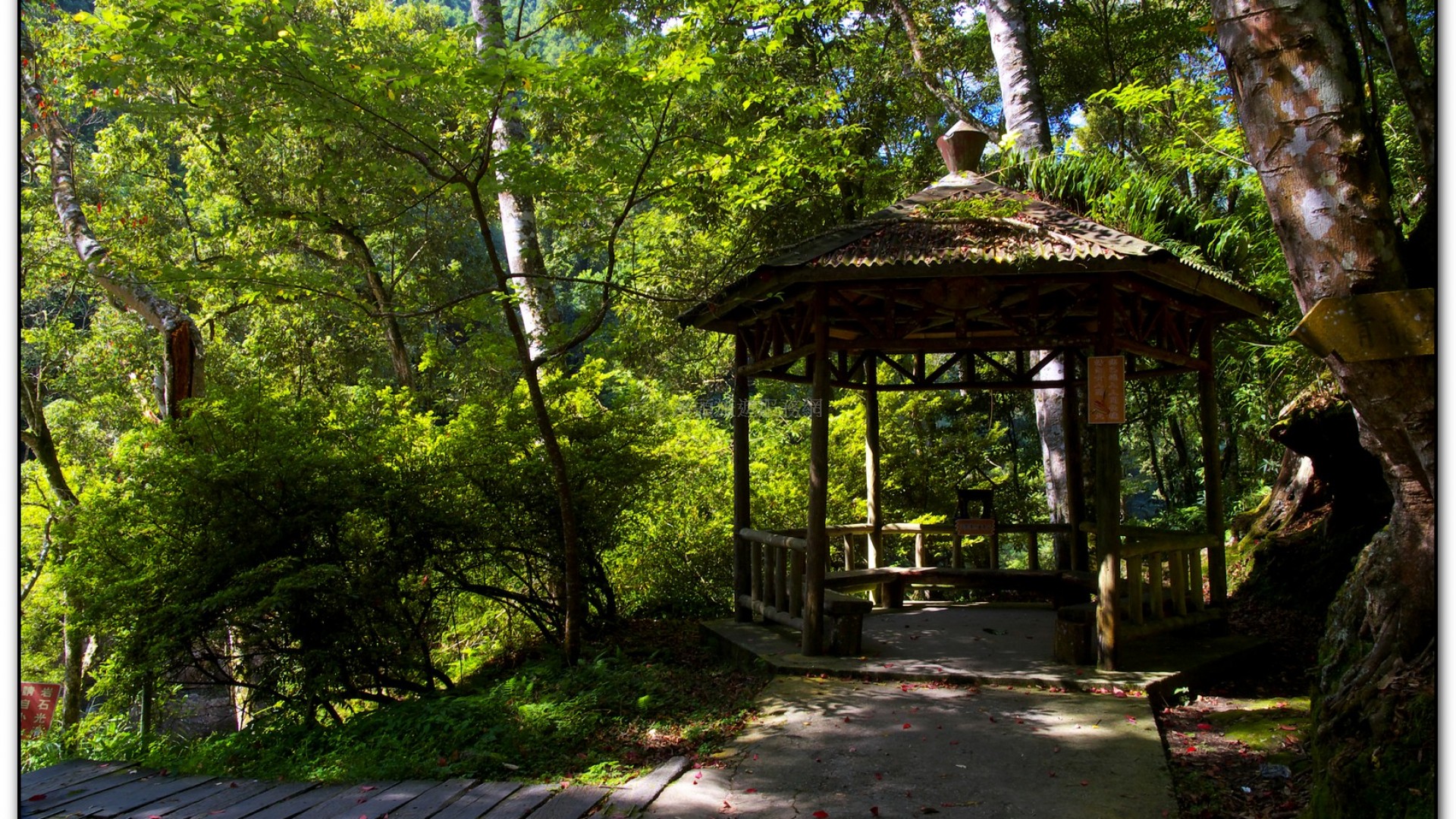 八八吊橋－杉林溪旅遊景點