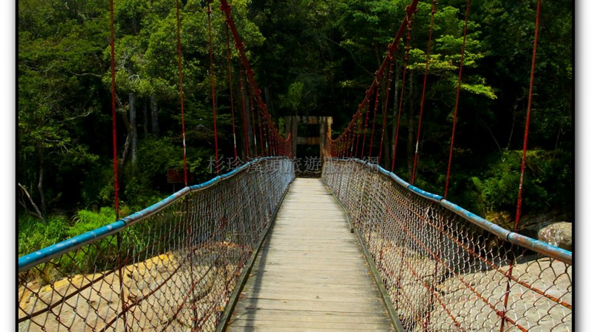 八八吊橋－杉林溪旅遊景點