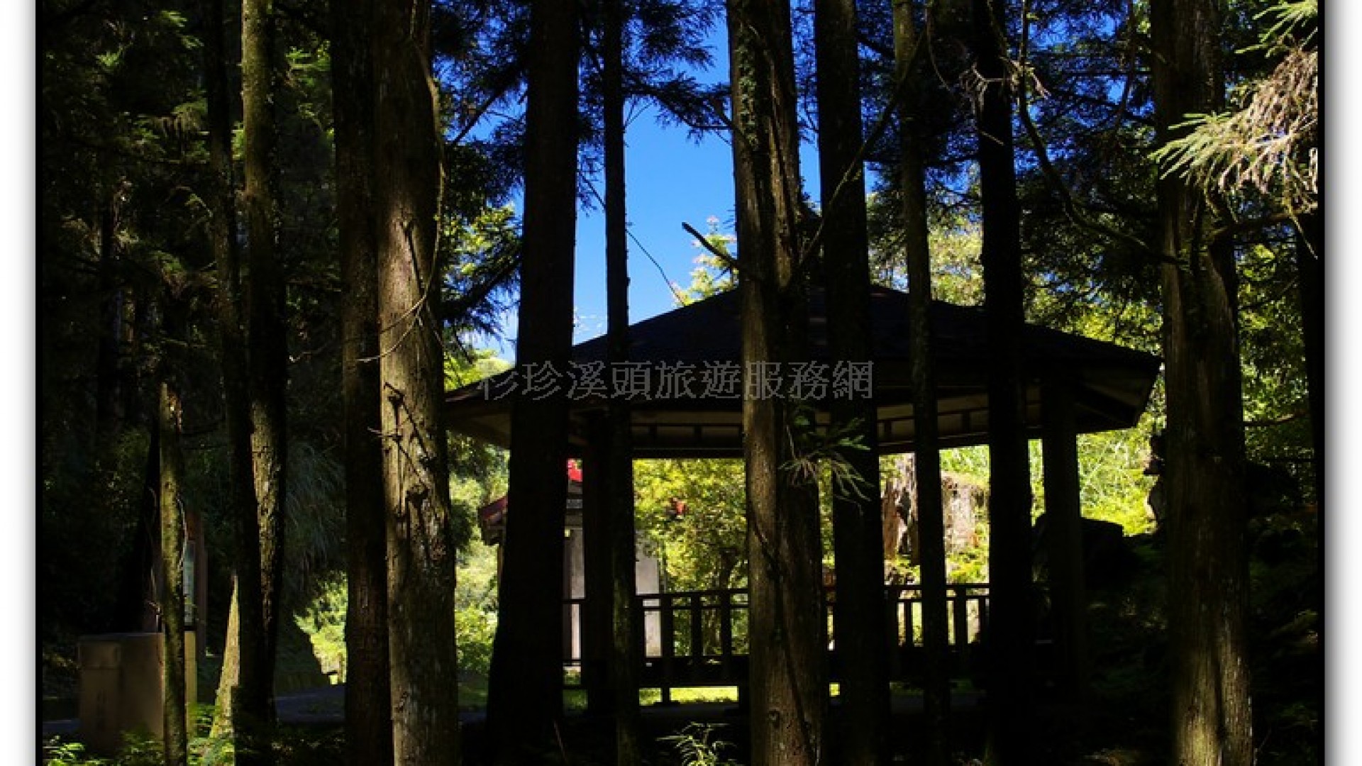 八八吊橋－杉林溪旅遊景點