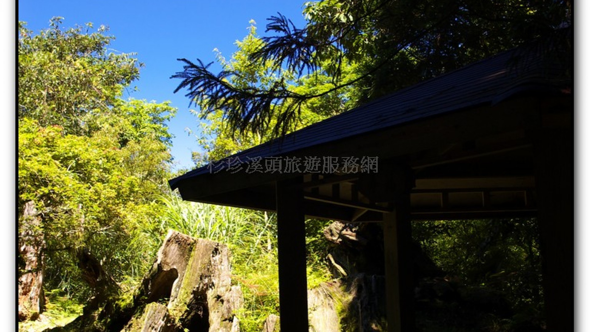 八八吊橋－杉林溪旅遊景點