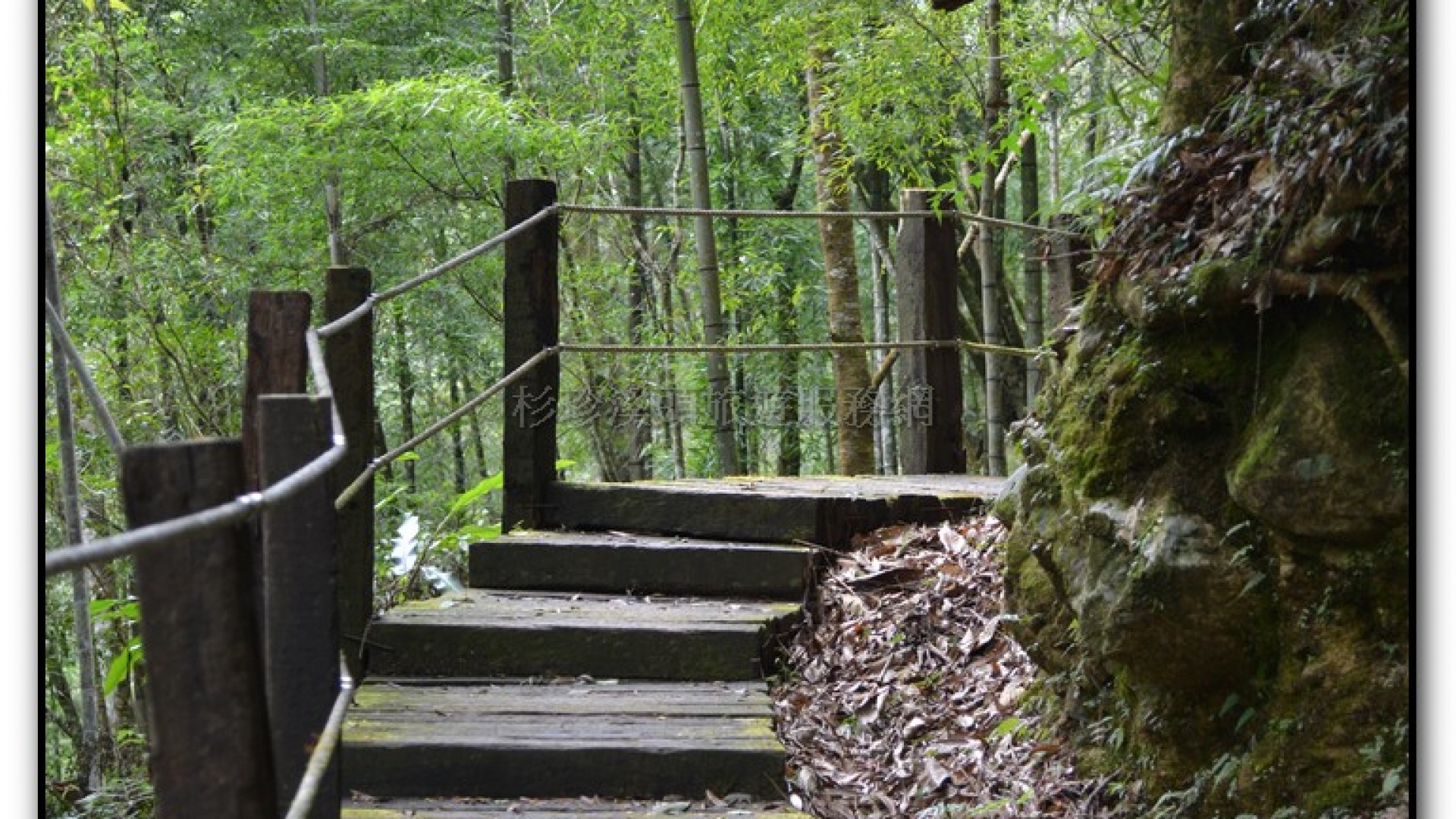 森林公園-杉林溪旅遊景點