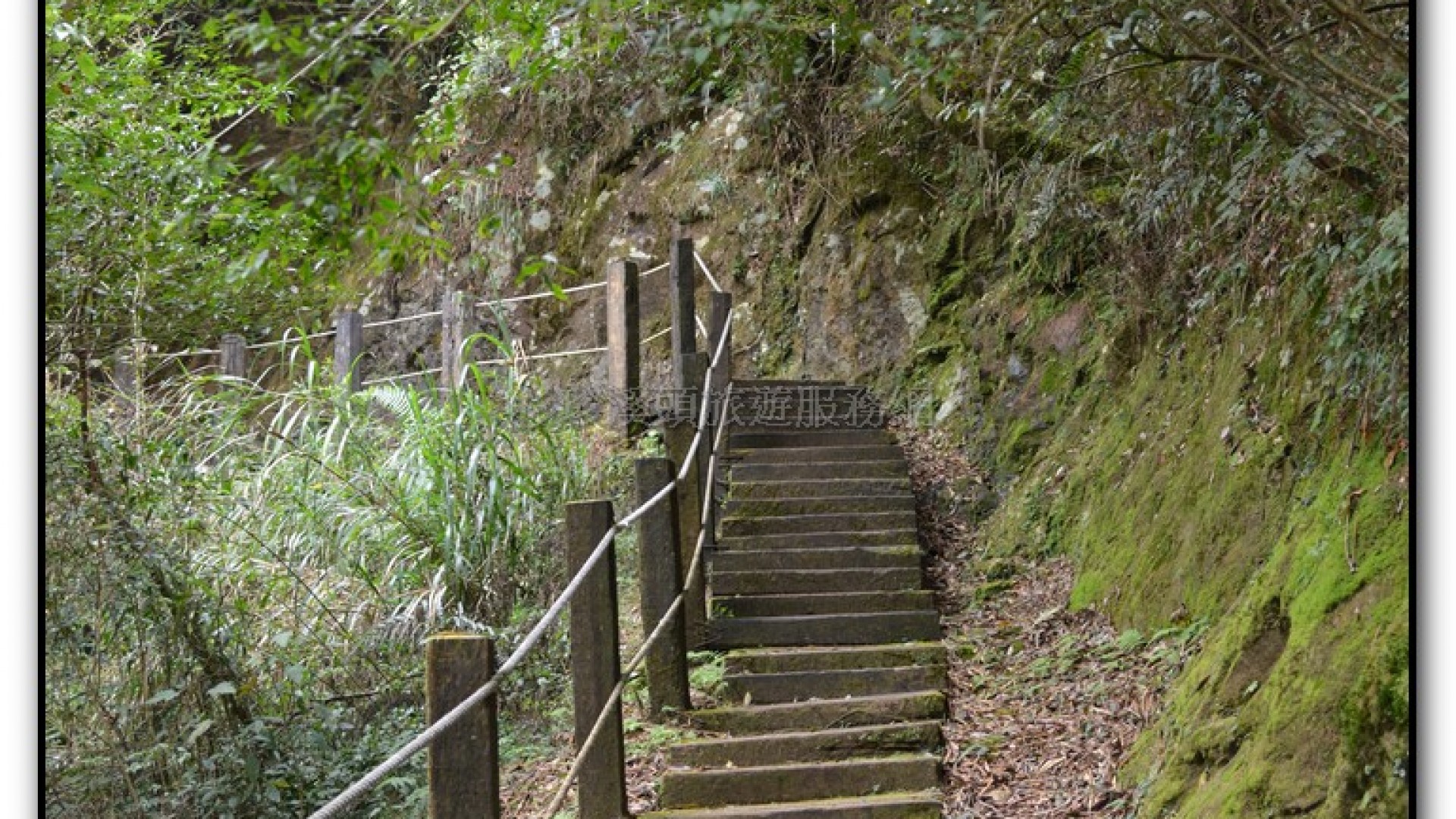 森林公園-杉林溪旅遊景點