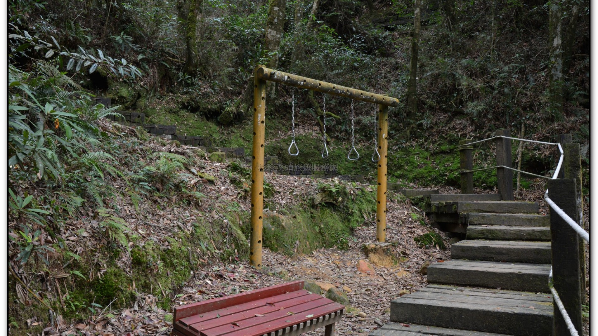 森林公園-杉林溪旅遊景點