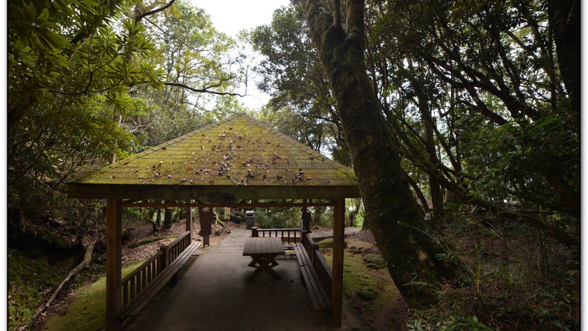 森林公園-杉林溪旅遊景點